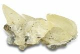 Yellow Scalenohedral Calcite Crystal Cluster - Missouri #252137-1